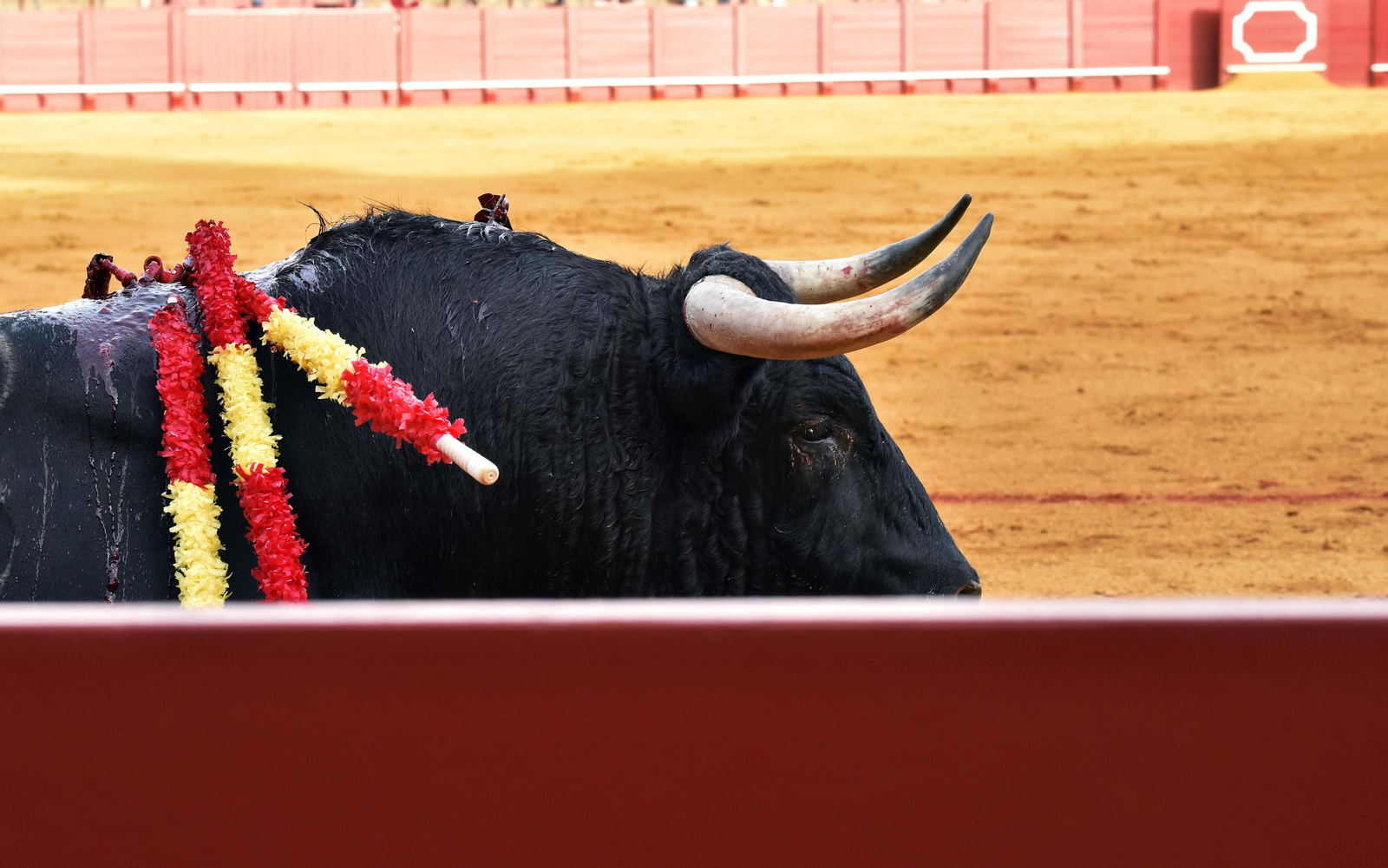 Las imágenes de la segunda de abono de la Maestranza