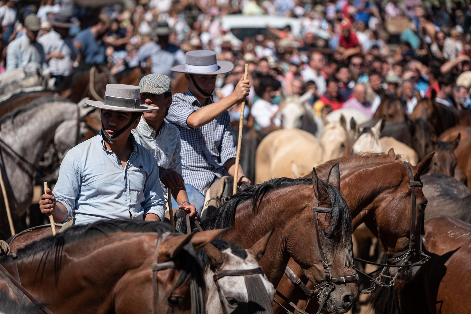 Imágenes de la Saca de las Yeguas a su paso por El Rocío