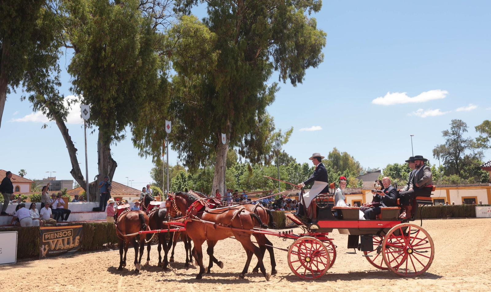 Entrega del Caballo de Oro Jerez 2024 a Francisco Dorante