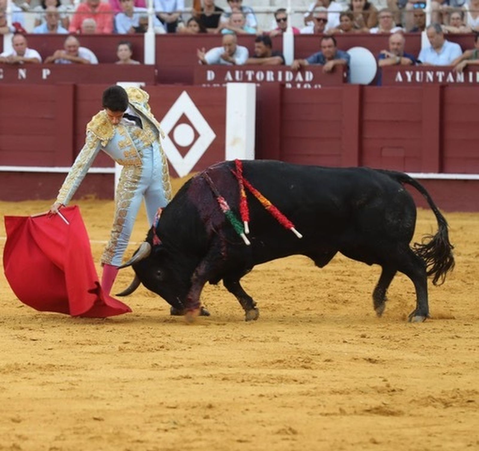 El novillero Jorge Molina, con el segundo de su lote.