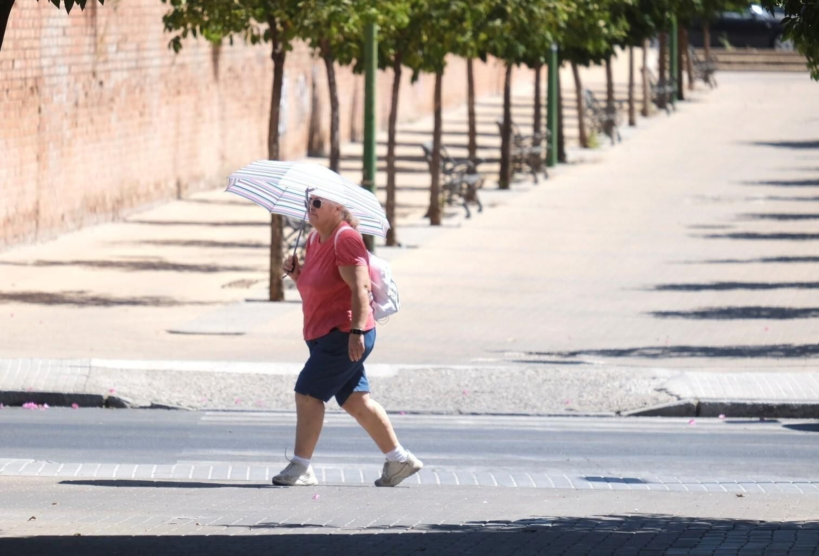 Un día de agosto en el Parque Figueroa de Córdoba, en imágenes