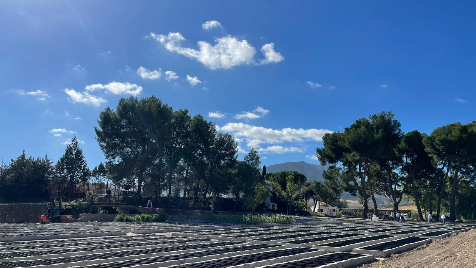 Centro de investigación 'Málaga Viva Lab'