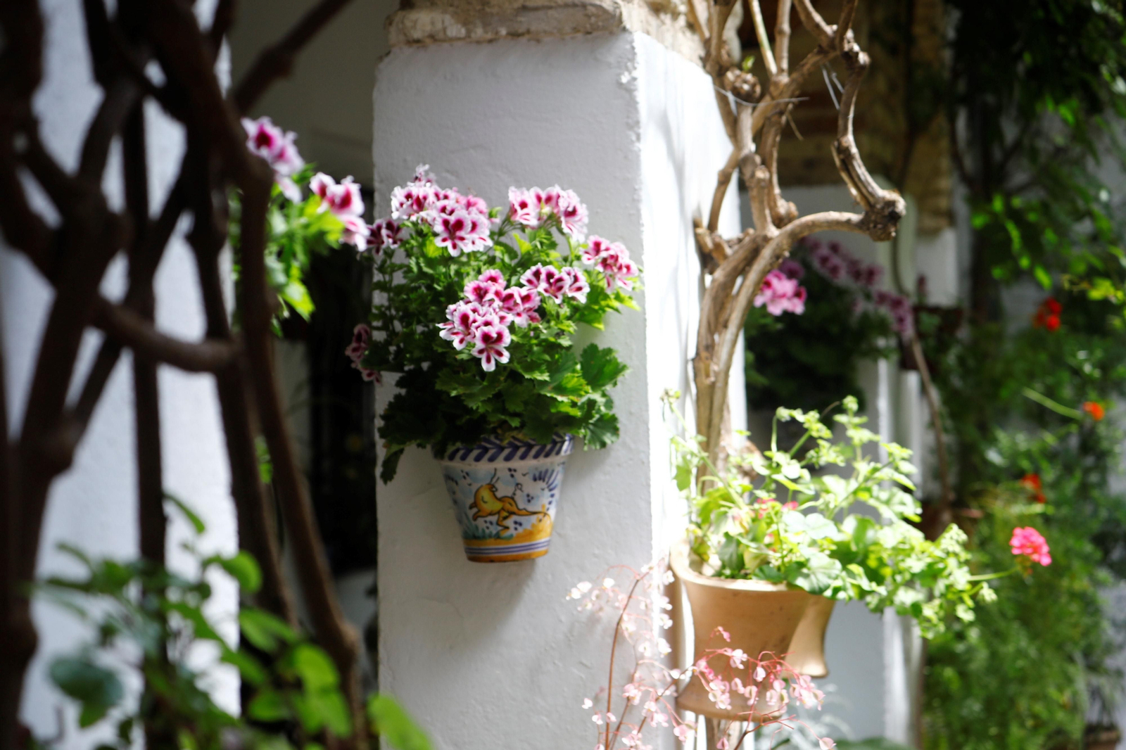 Los patios de Córdoba de la ruta Judería-San Francisco, en imágenes