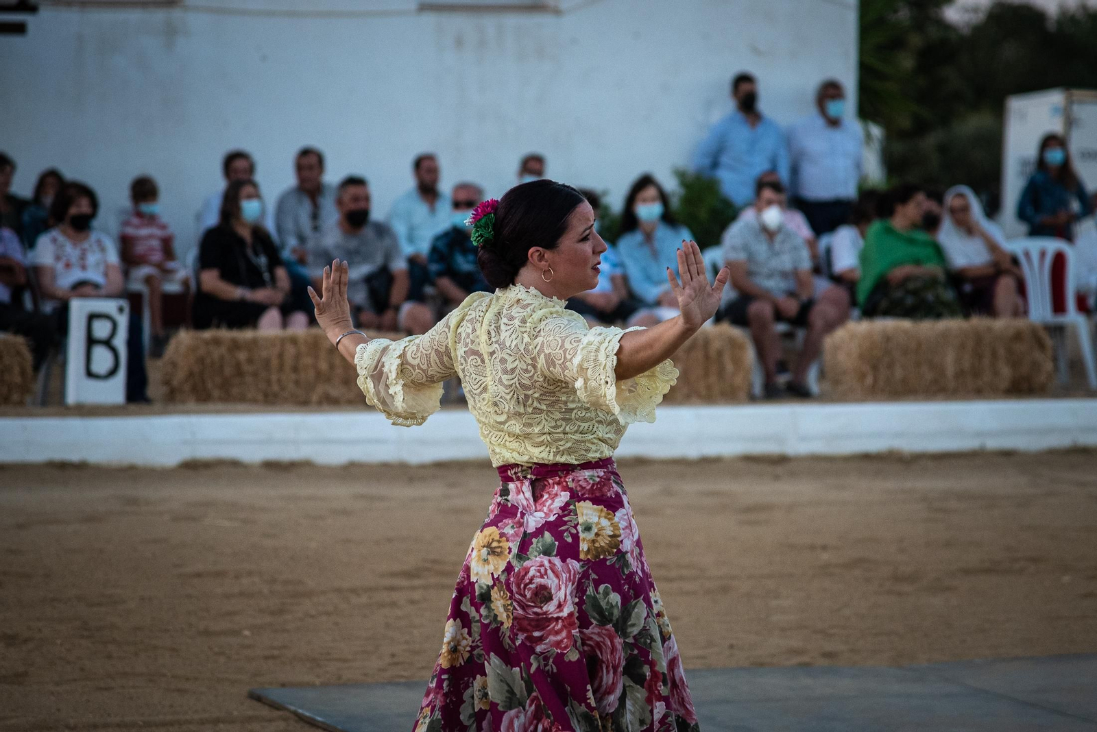 El espectáculo Flamencab en imágenes