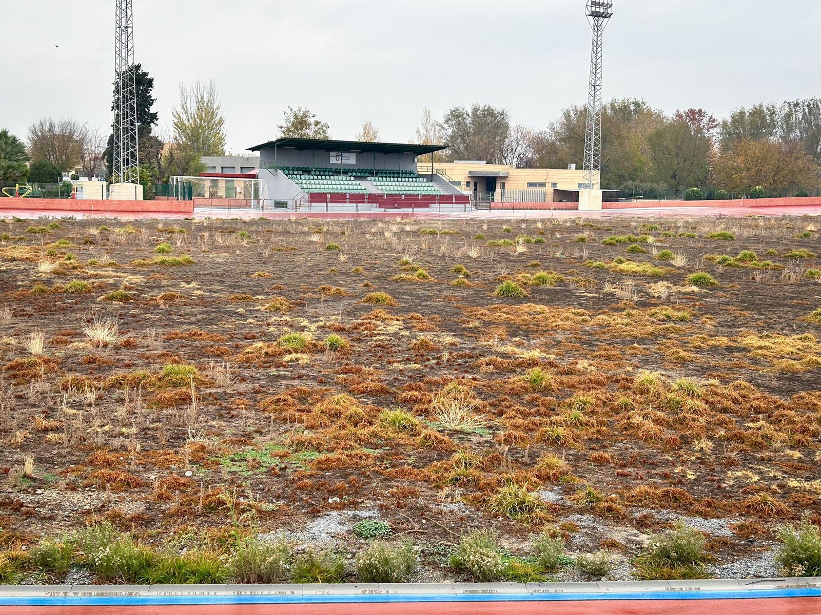 Estado del campo del velódromo de la Ciudad Deportiva de la Diputación