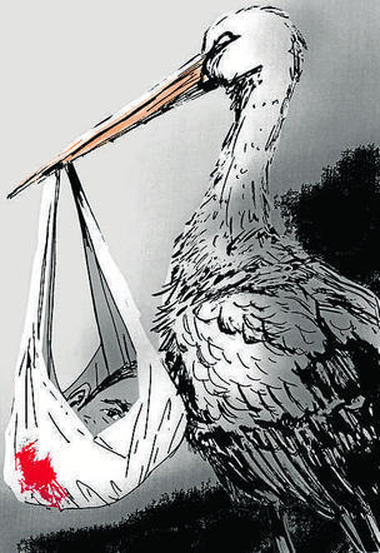 Sánchez: los niños no vienen de parís