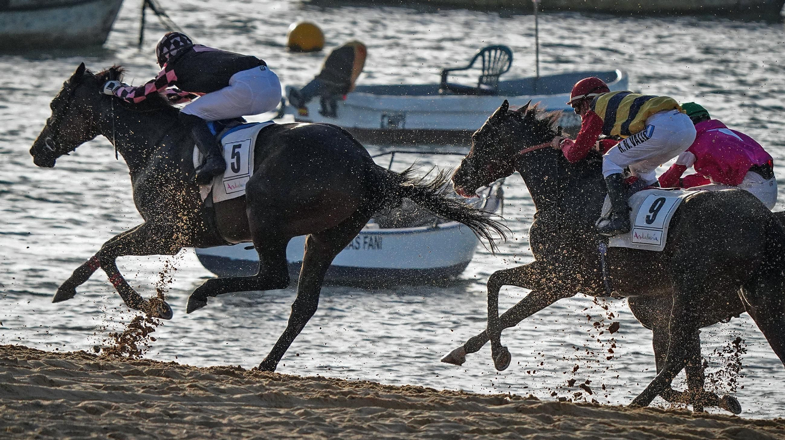 Imágenes del segundo ciclo de Carreras de Caballos de Sanlúcar