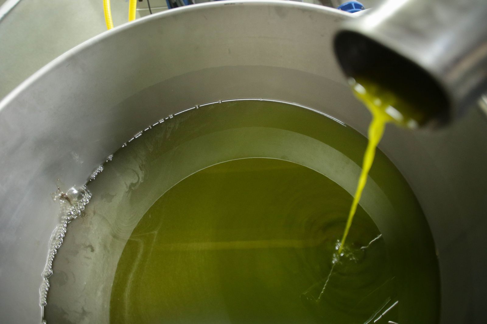 El precio del aceite de oliva se dispara y se encuentra a casi un 70% más que en 2022