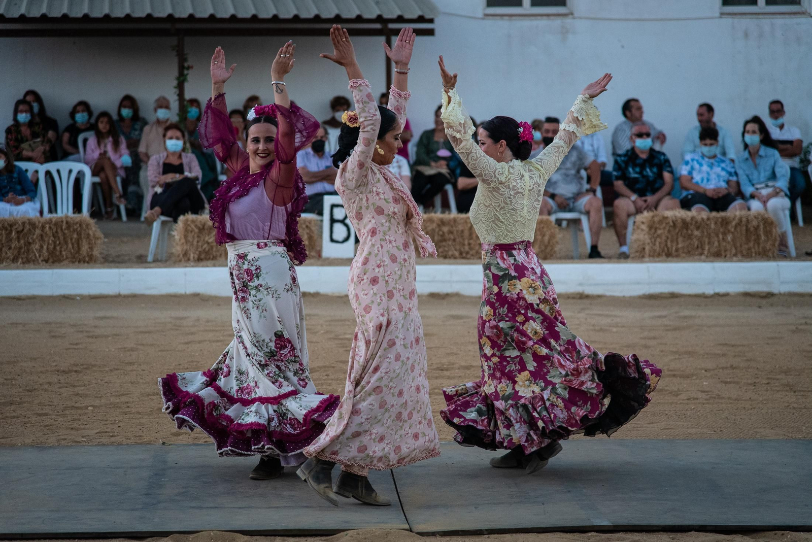 El espectáculo Flamencab en imágenes