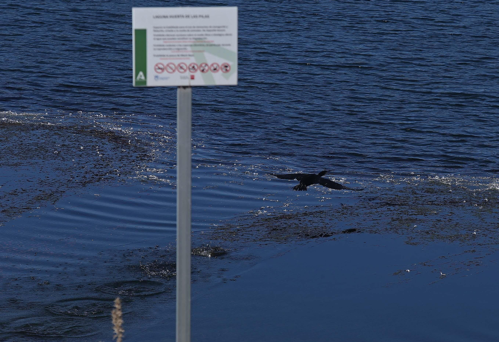 Imágenes del acuífero de la Huerta de Las Pilas en Algeciras