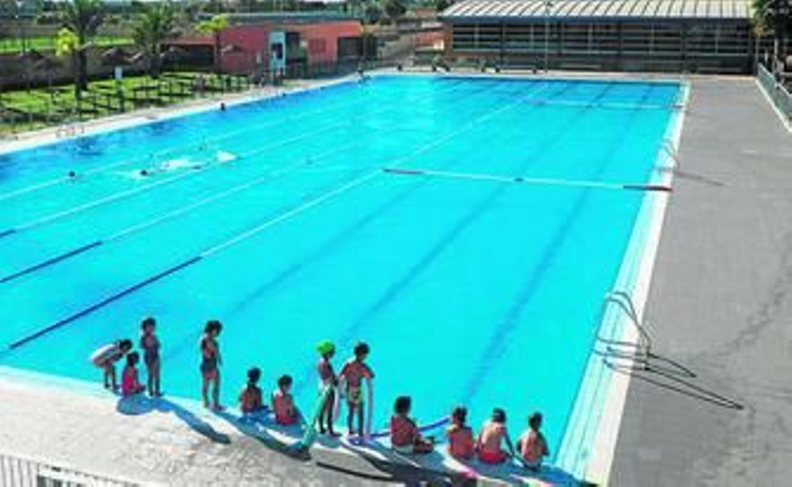 Unos niños participan en los cursos de natación.