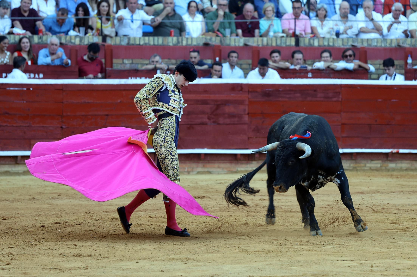 Toros La Merced 2025: Imágenes de la Novillada de Javier Zulueta, Cristian González y Carlos Tirado