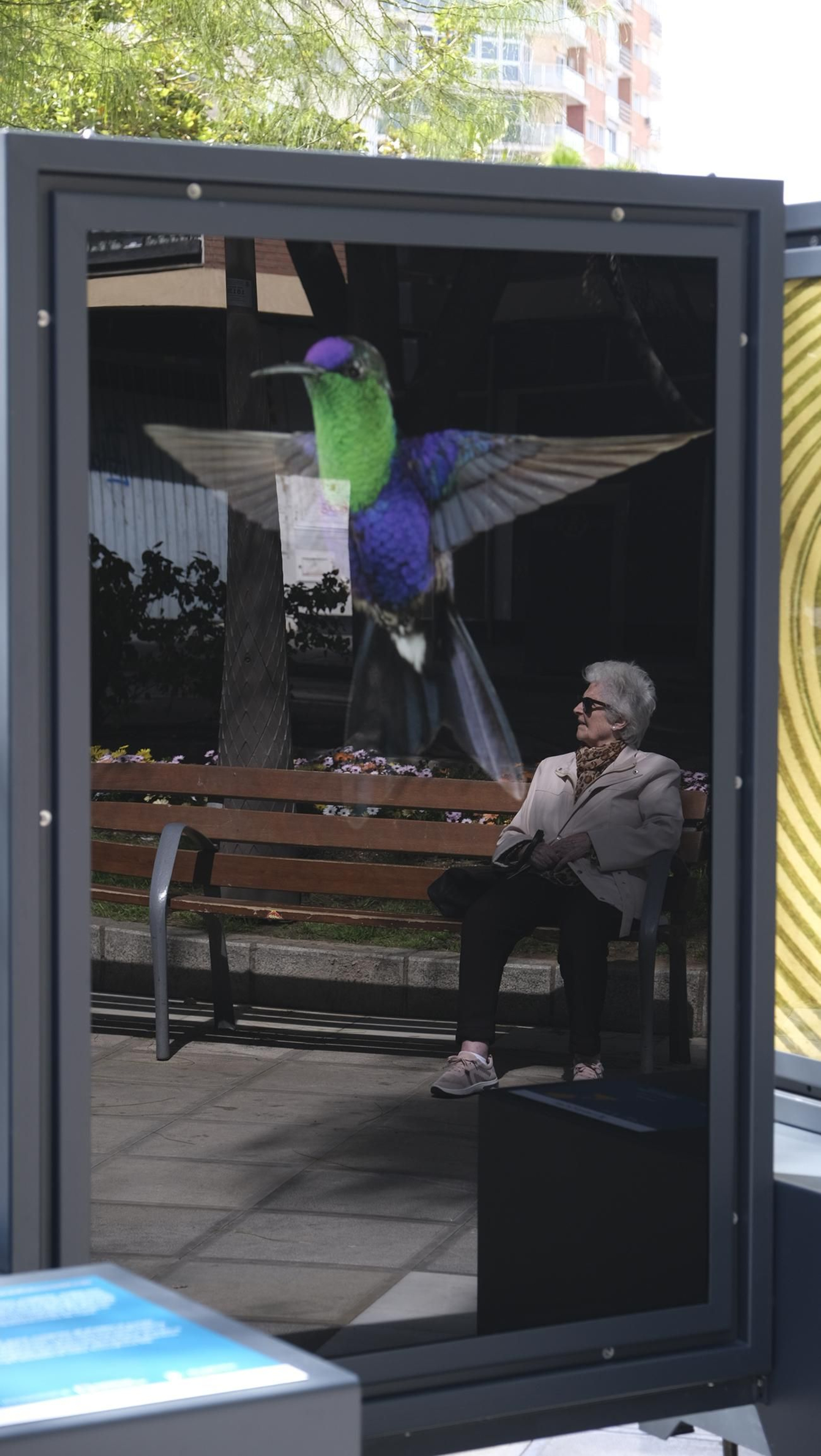 Imágenes de la exposición fotográfica 'Los Colores del Mundo', de la Fundación La Caixa