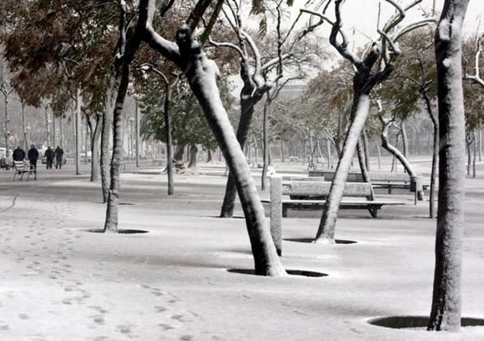 Una intensa nevada cubre Barcelona y a casi toda Cataluña. /EFE · AFP Photo · Reuters
