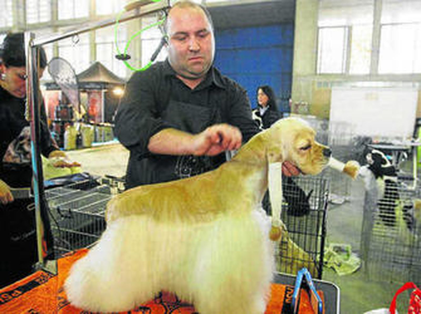 El salón albergará varios concursos de belleza de razas.