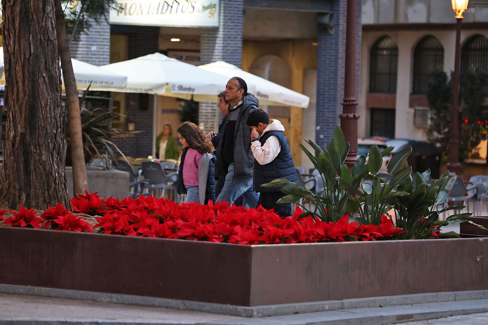 Las imágenes más destacadas del martes 3 de diciembre en Huelva