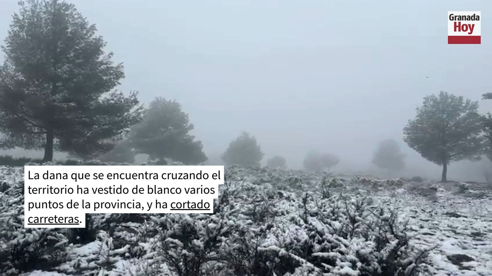 El paso de la dana en Granada