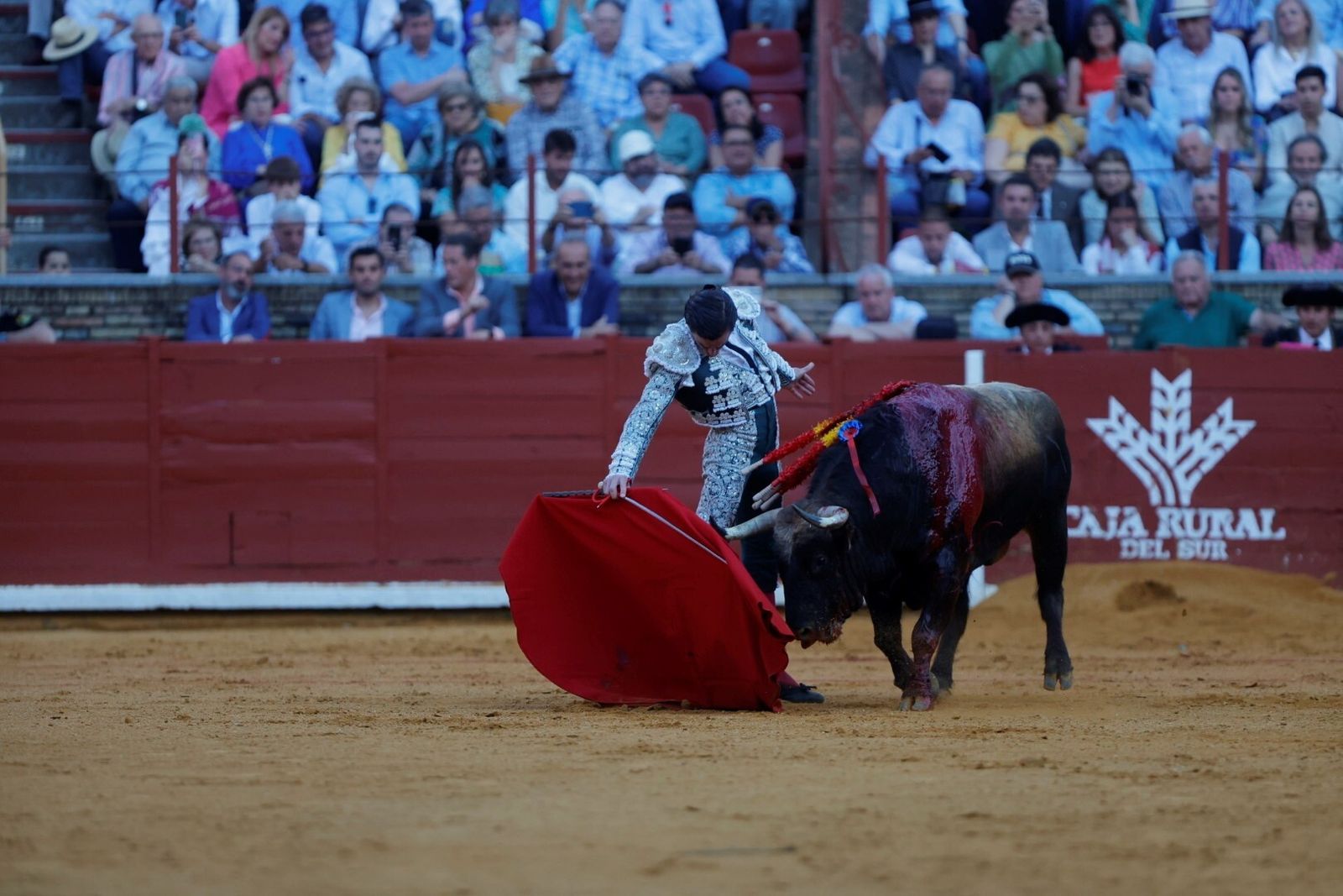 Las mejores fotos de la corrida de Morante, Ortega y Roca Rey en la Feria Taurina de Córdoba