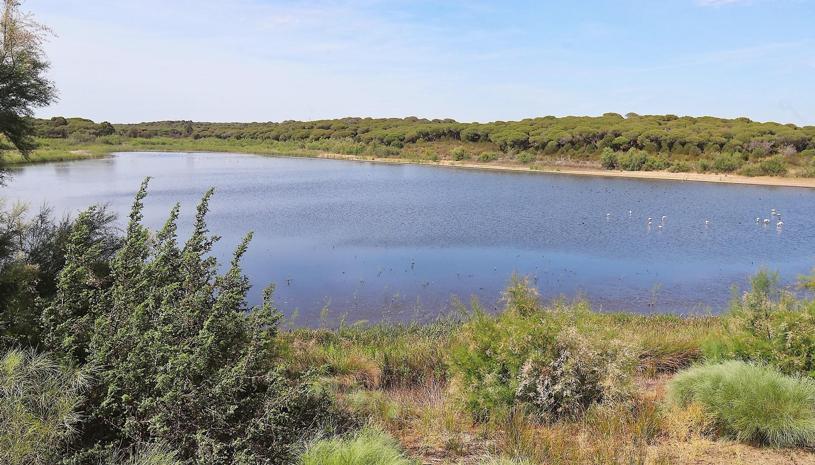Una ruta por uno de los humedales de Huelva más importantes de España