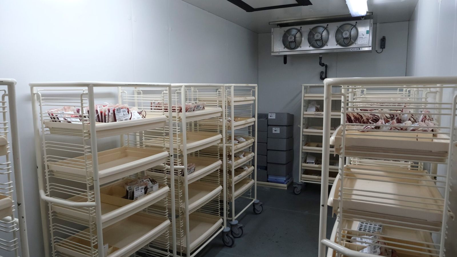 Bolsas de sangre almacenadas en una sala para su conservación tras la extracción a los donantes, en el Centro de Transfusión, Tejidos y Células de Almería