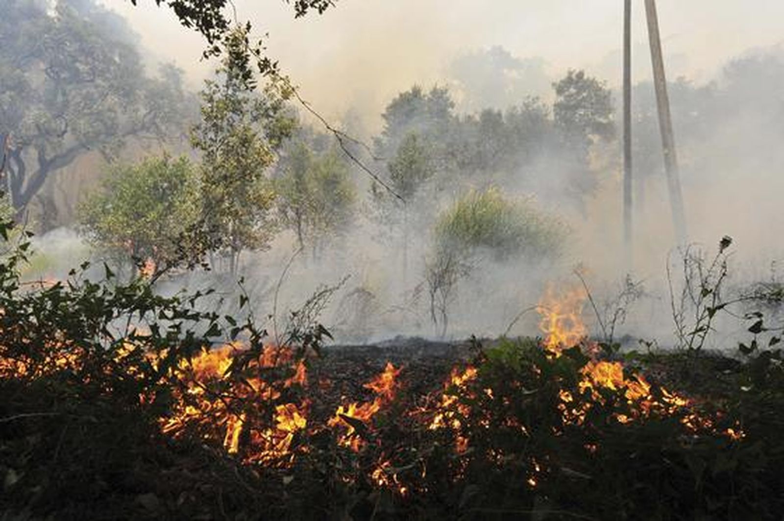 Imágenes del incendio de La Jonquera.

Foto: EFE