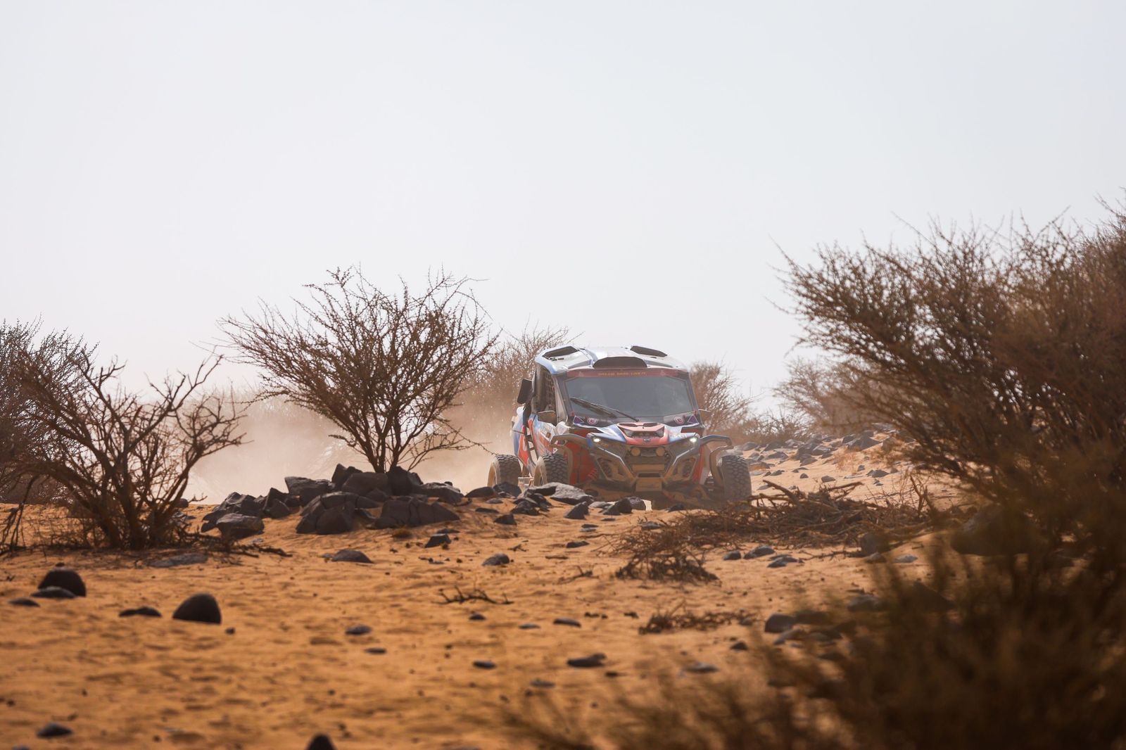 Las mejores fotos del Rally Dakar | undécima etapa