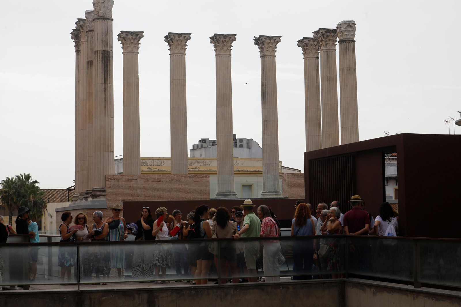 El primer día de visitas al Templo Romano, en imágenes