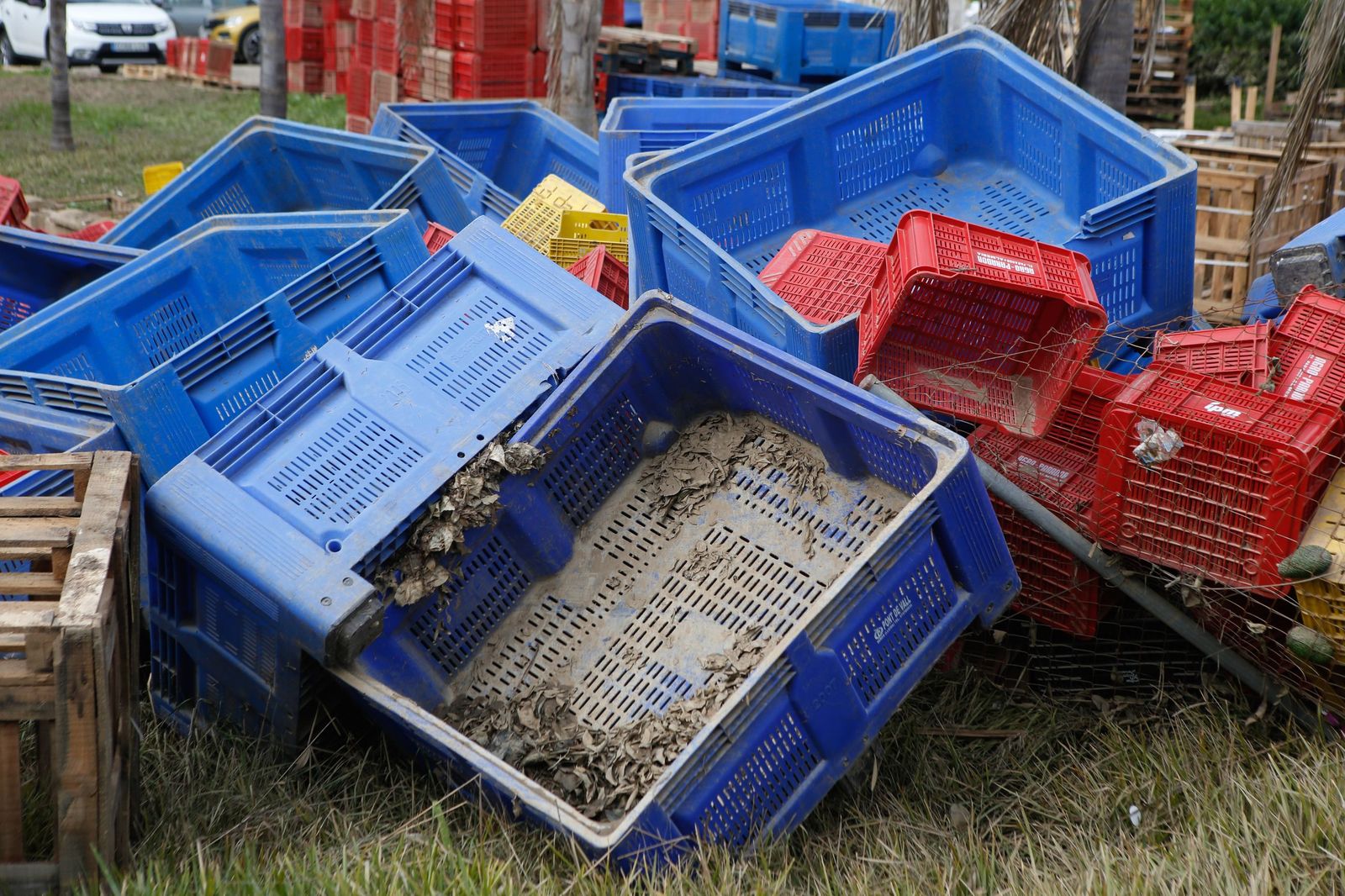 Fotos de las consecuencias de la borrasca Francis en Tesorillo y Jimena