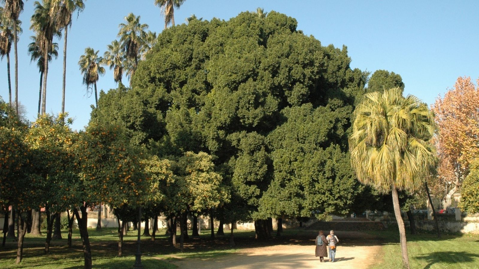 Los jardines de Palacio de San Telmo