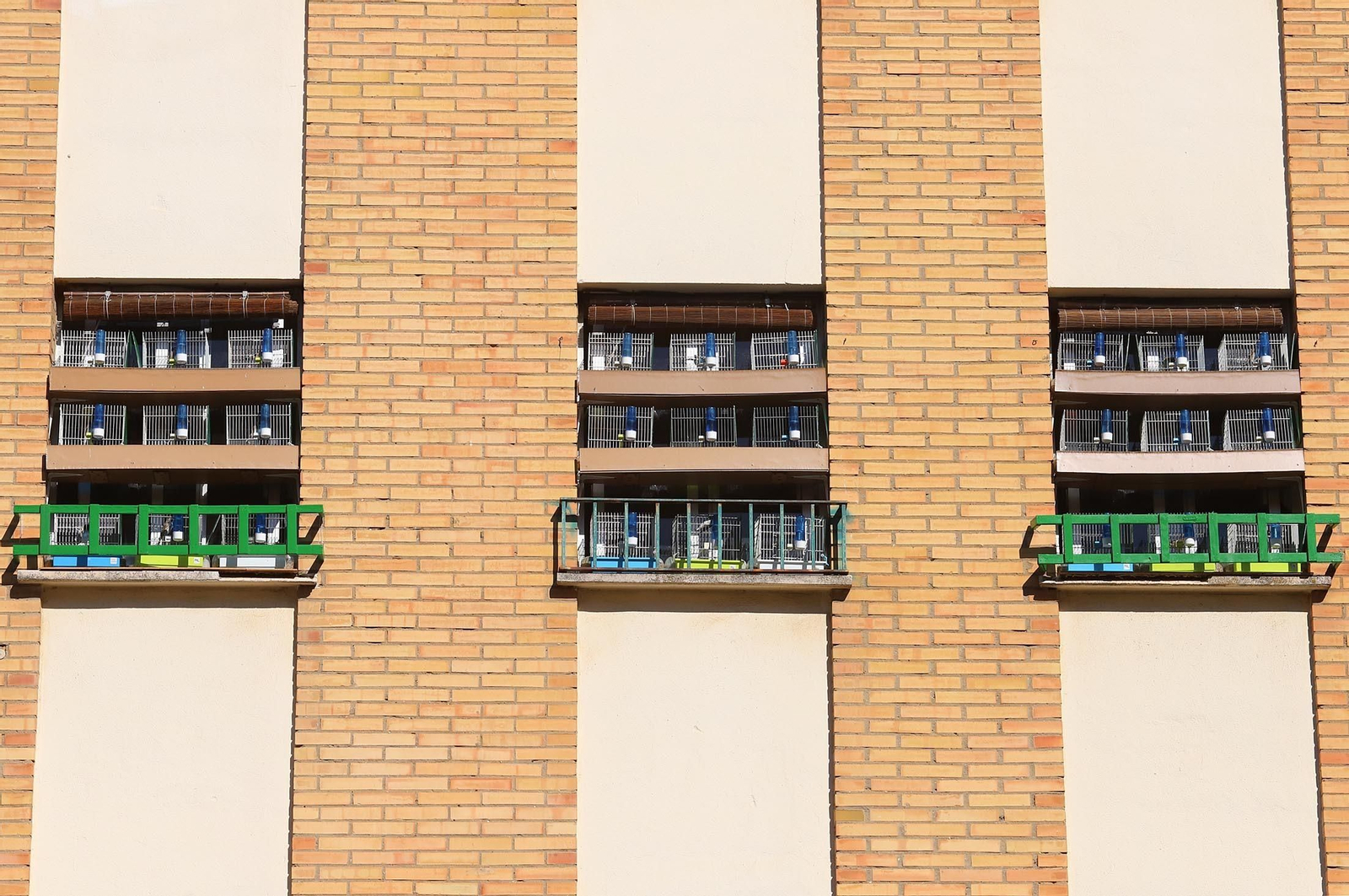 Barrio a barrio: Imágenes de Santa Marta