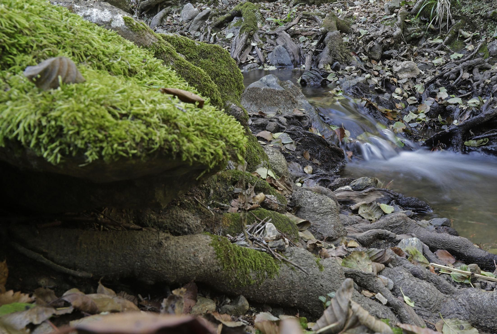 Ruta de Senderismo Charco Malo