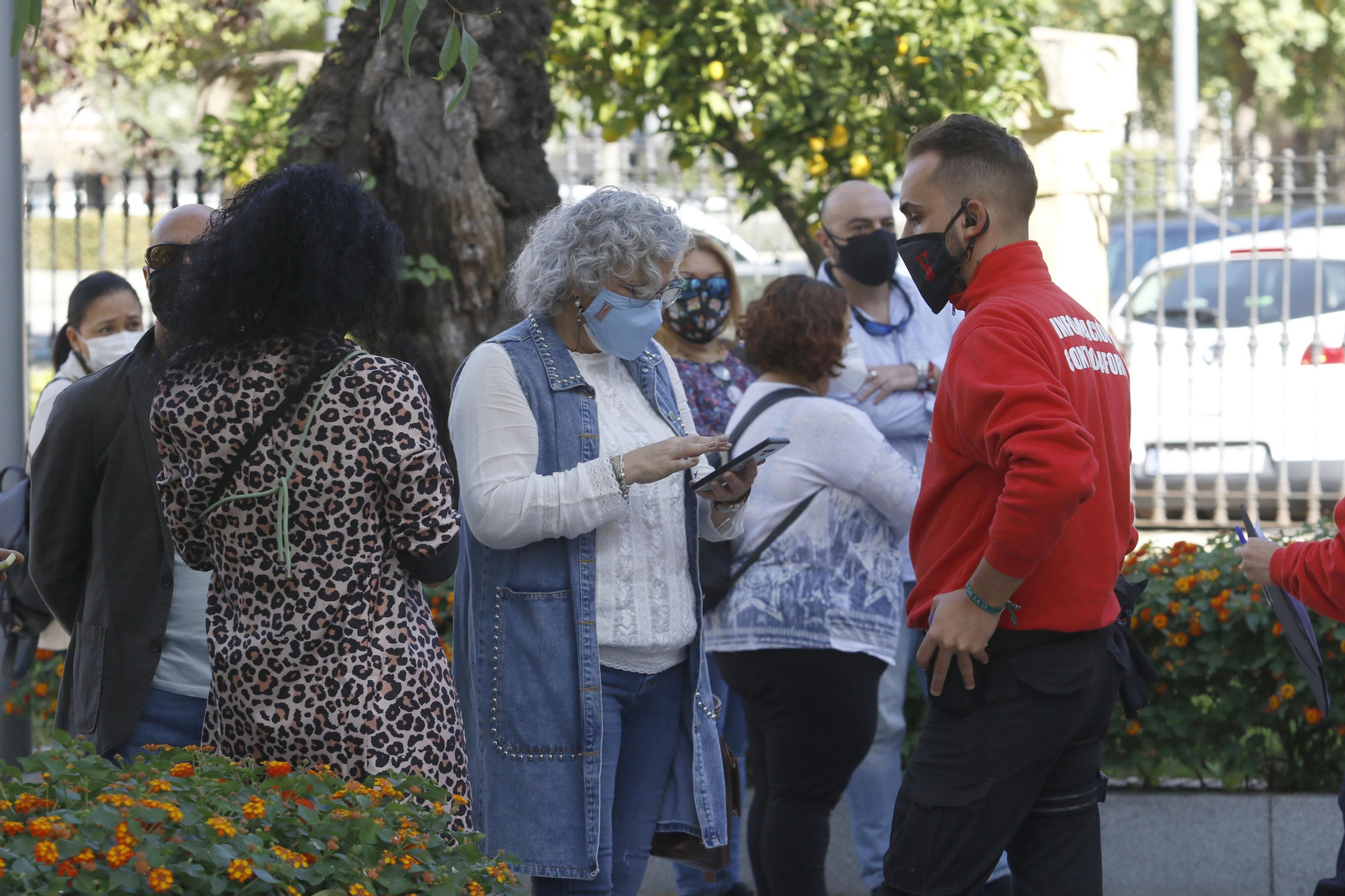 las fotos del día de Todos los Santos
