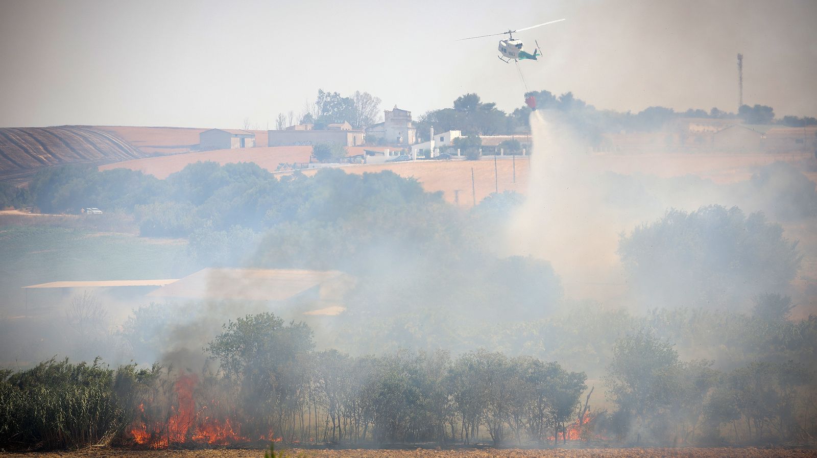 El fuego llega a las  casapuertas en Jerez