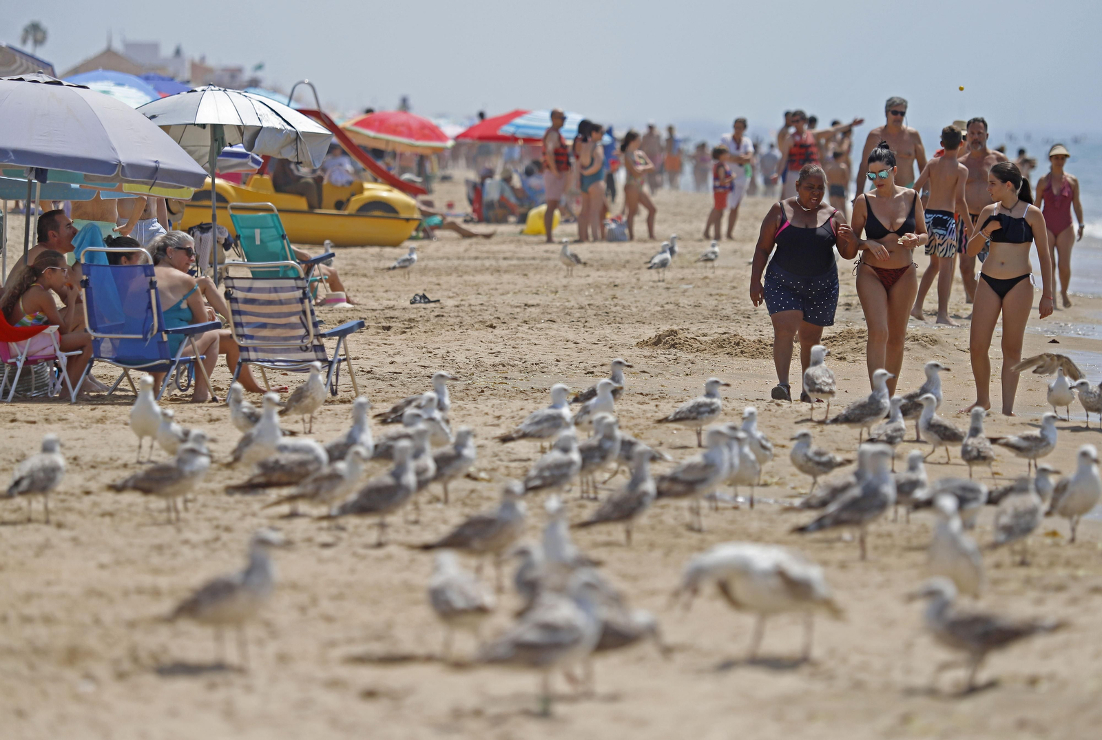 Imágenes del ambiente en las playas de Huelva en el 1 de julio