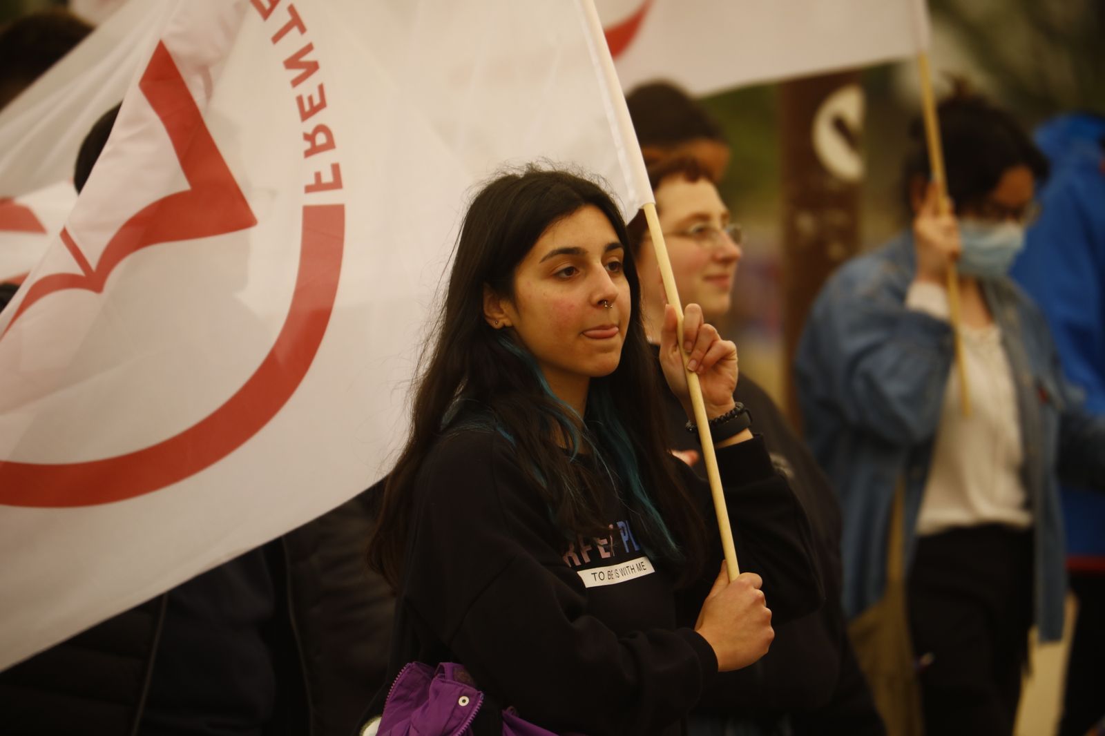 La manifestación estudiantil contra la reforma educativa, en imágenes
