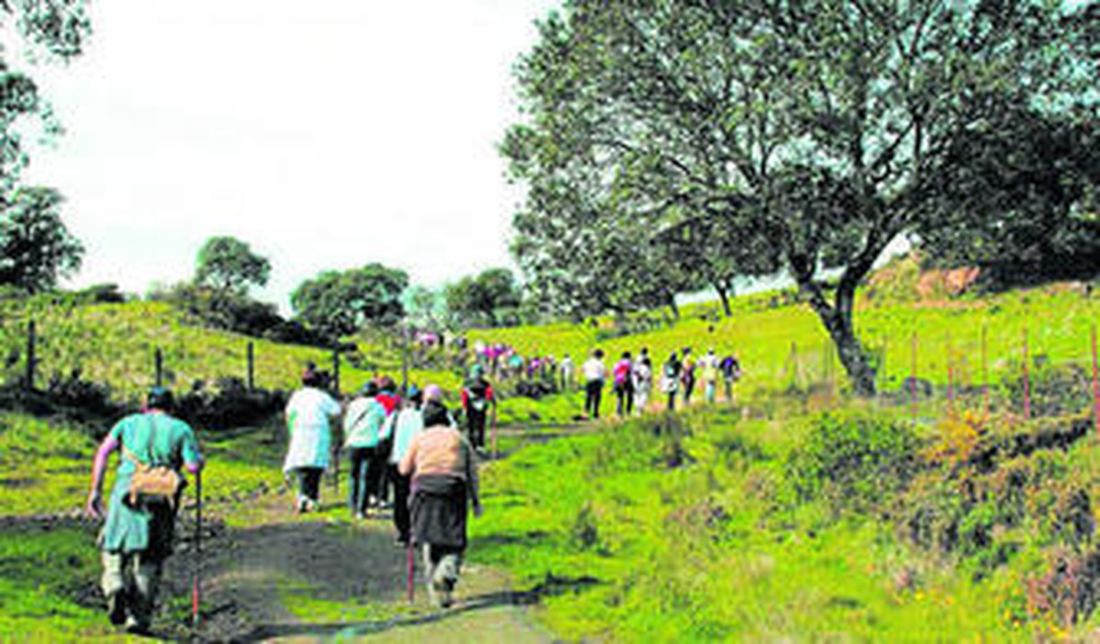 Un grupo de excursionistas.