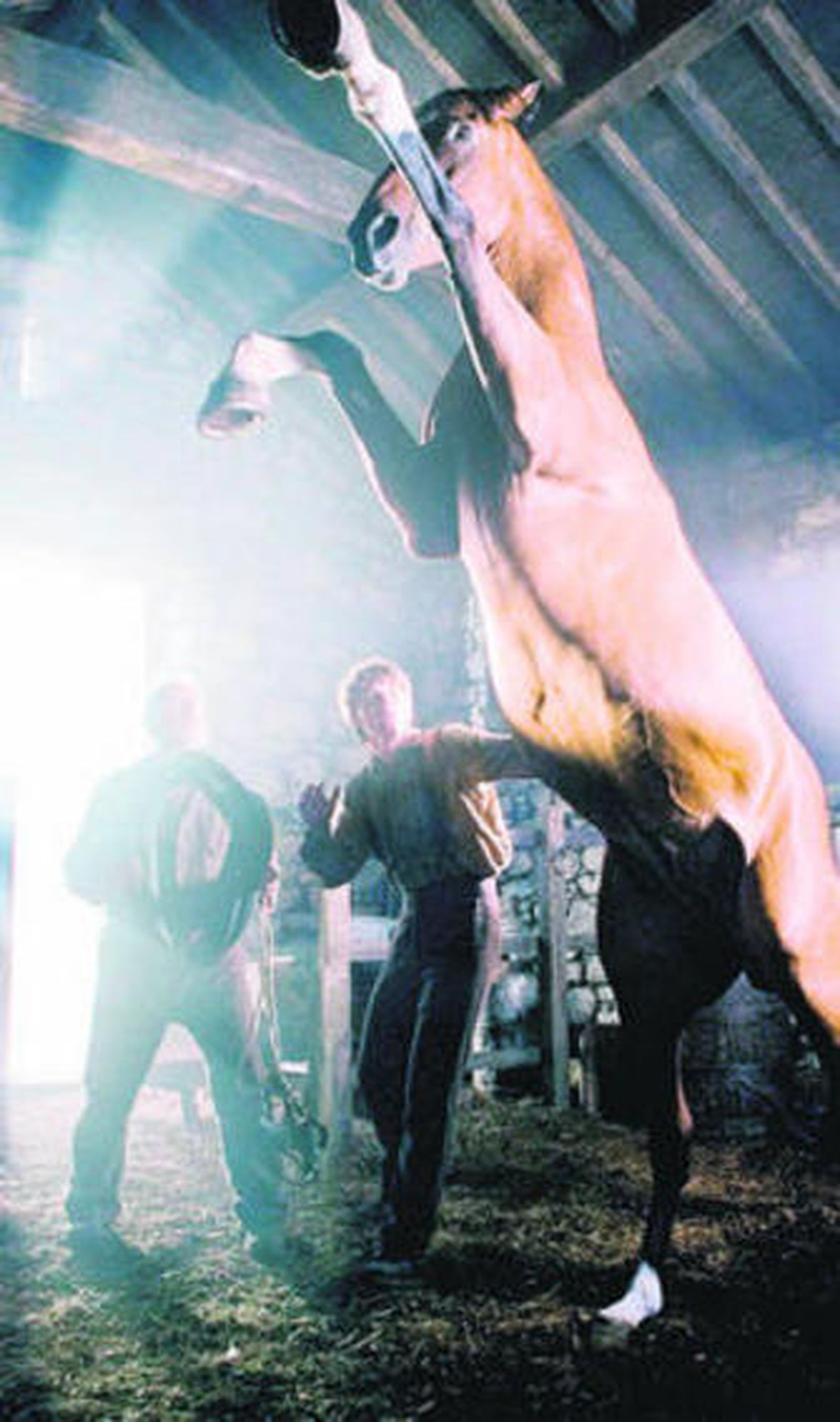 Una escena de la película de Spielberg 'War Horse'.