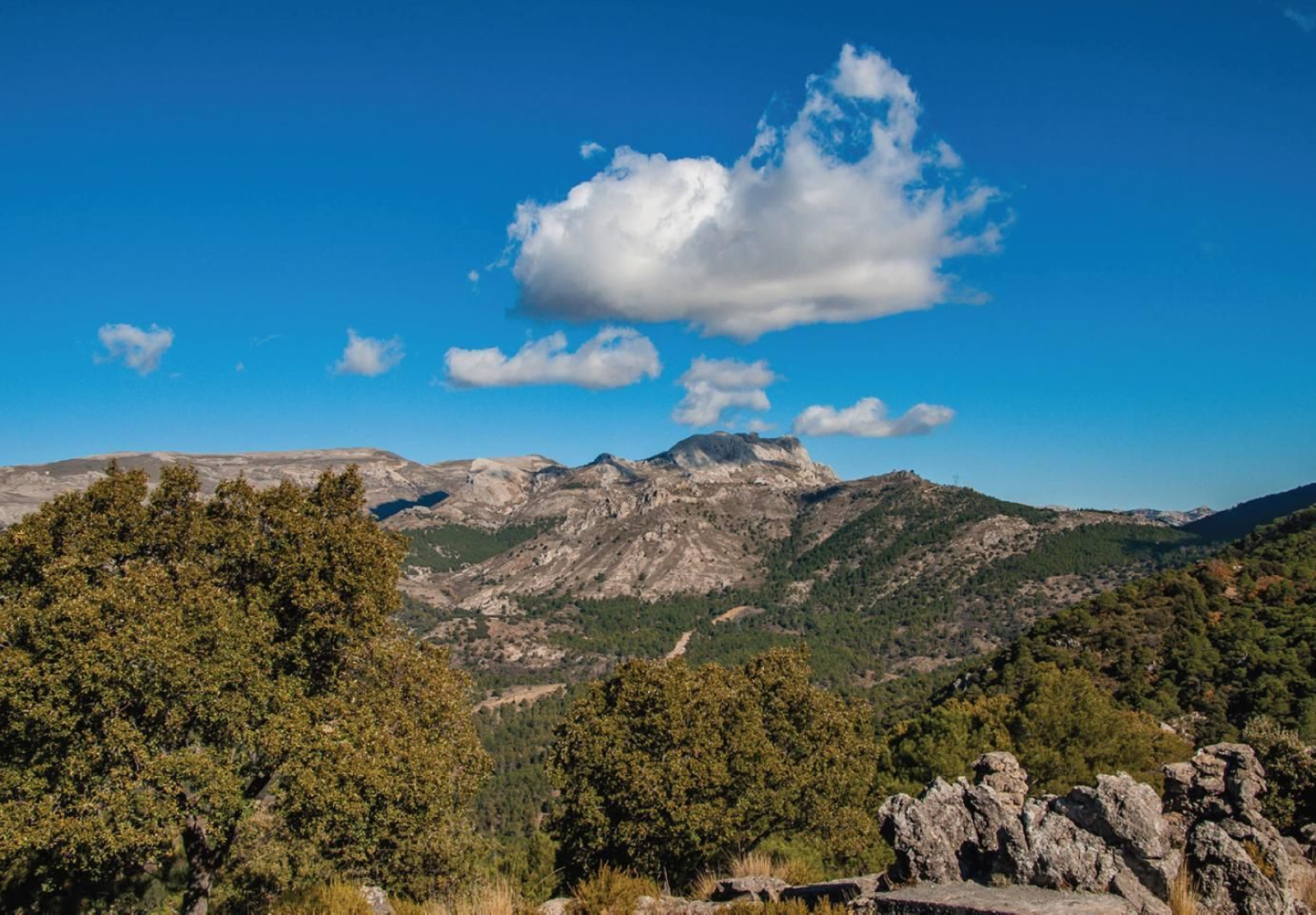 Trincheras de la Yedra