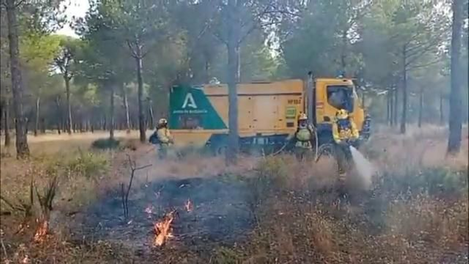 El Plan Infoca combate un incendio forestal en Almonte. El Plan Infoca combate un incendio forestal en Almonte.
