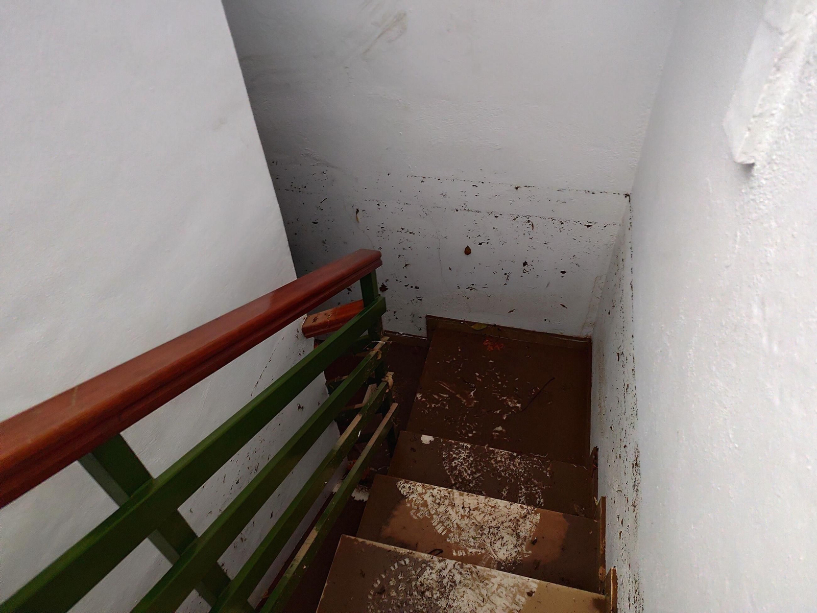 El rastro que deja la borrasca Claudia en Córdoba: anegaciones, árboles caídos y destrozos