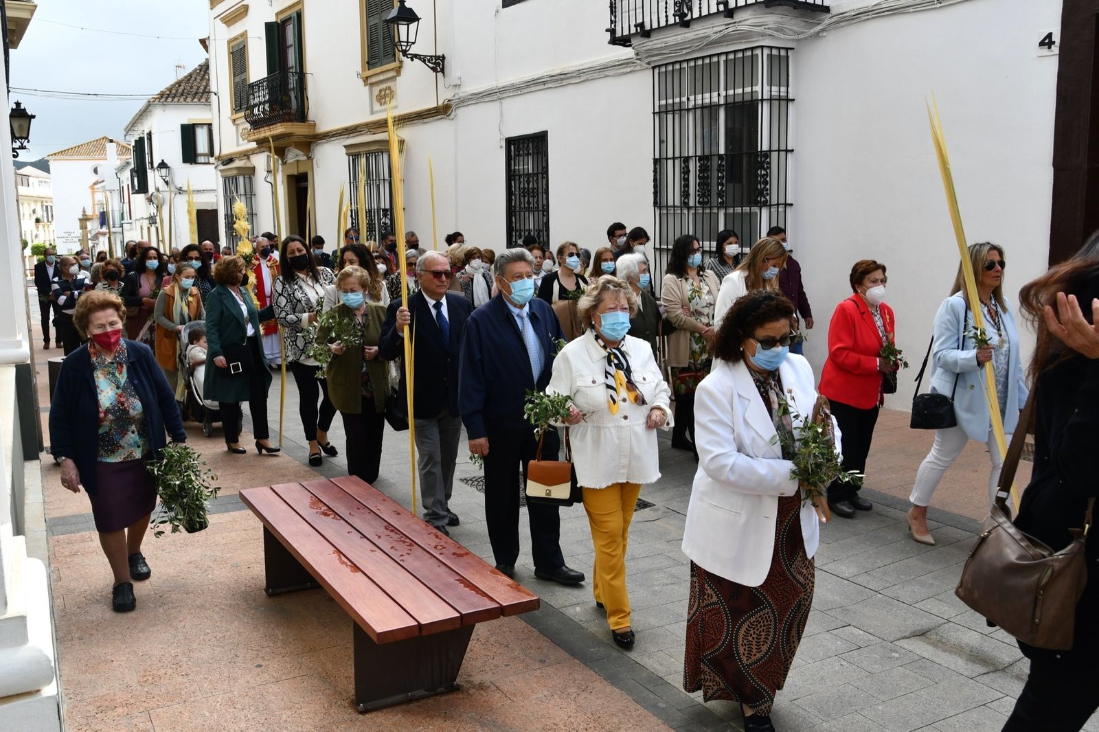 Las fotos del domingo de palmas y olivos en San Roque