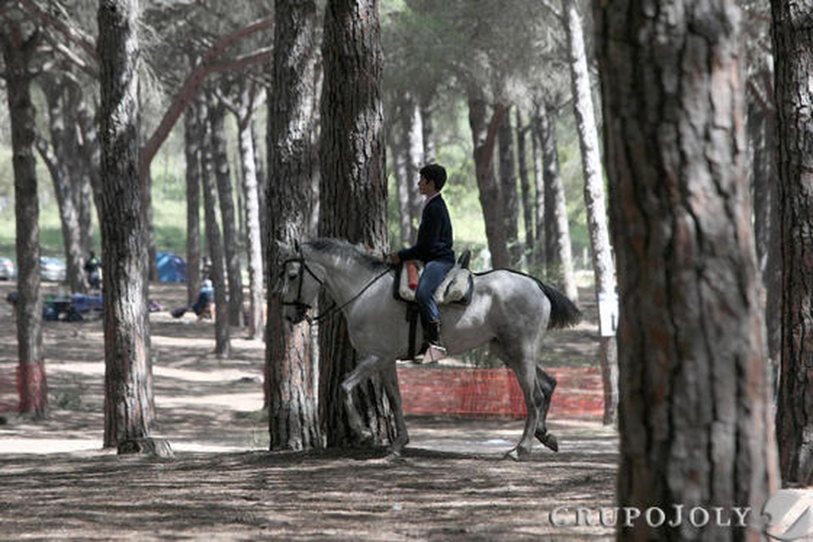Romería de San Roque

Foto: Erasmo Fenoy / Fran Montes