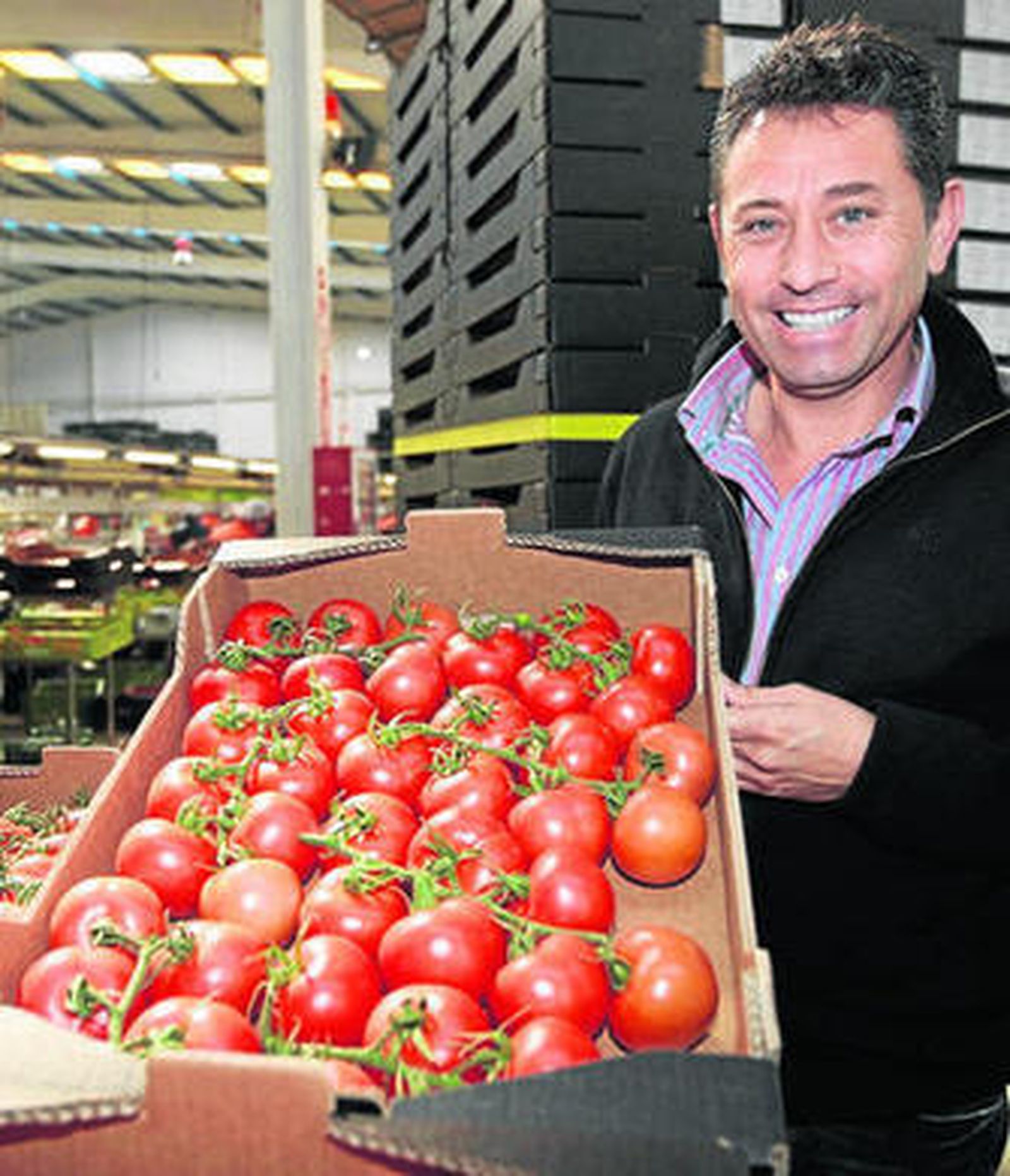 Francisco Belmonte, presidente de Biosabor, muestra una caja de sus tomates.
