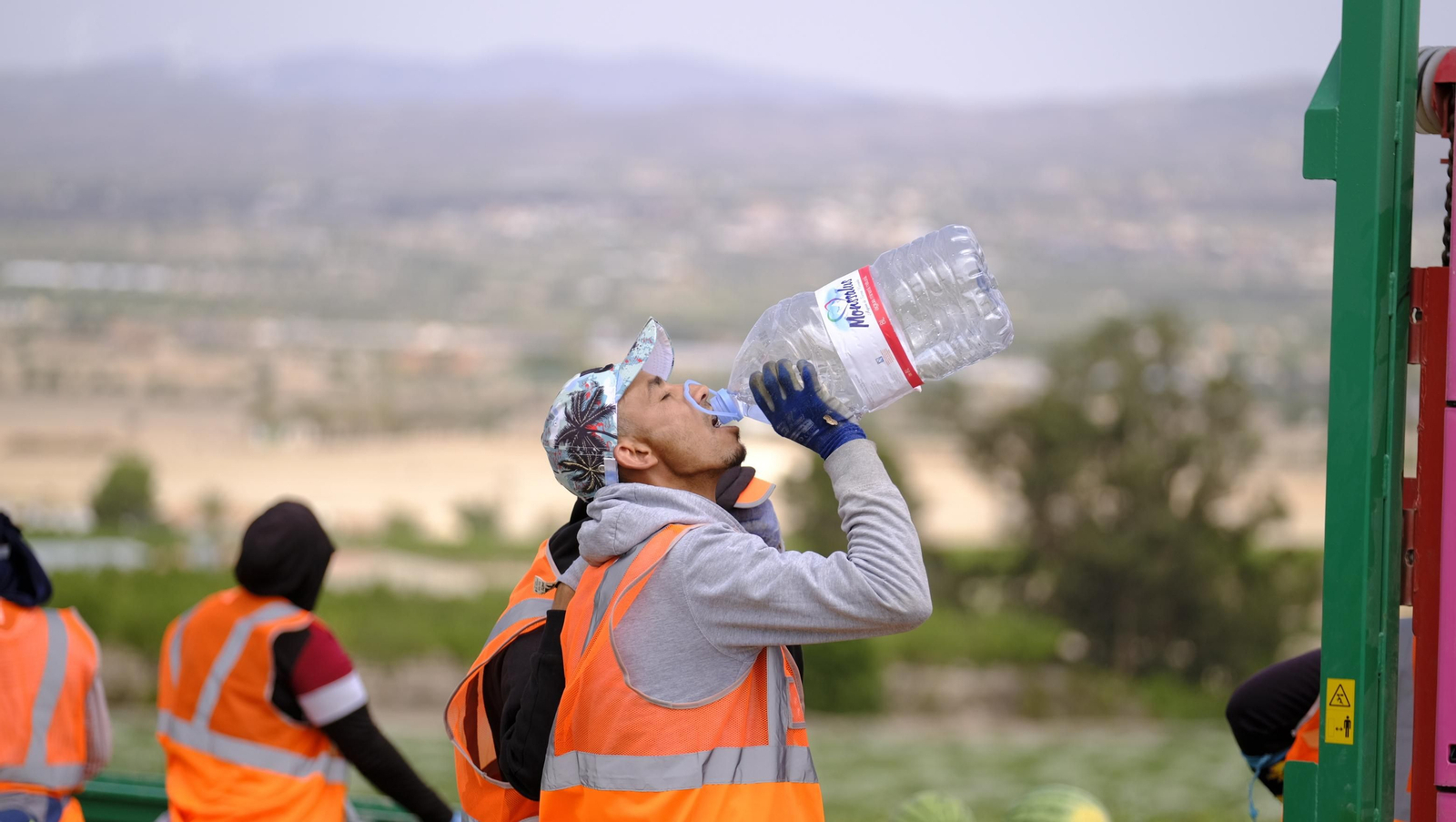 La sandía y el melón de Huércal Overa, manjares en imágenes