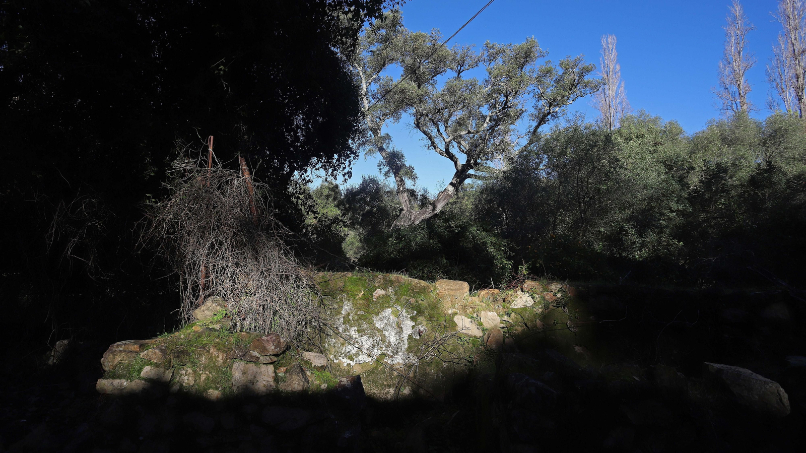Las mejores fotos del Poblado del Corchado en San Pablo de Buceite
