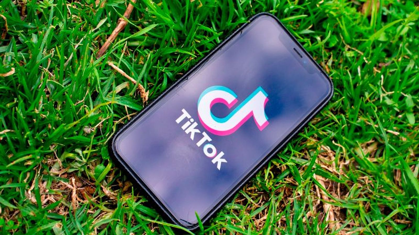 Aprende a descargar videos de TikTok sin marca de agua con SSS TikTok Downloader
