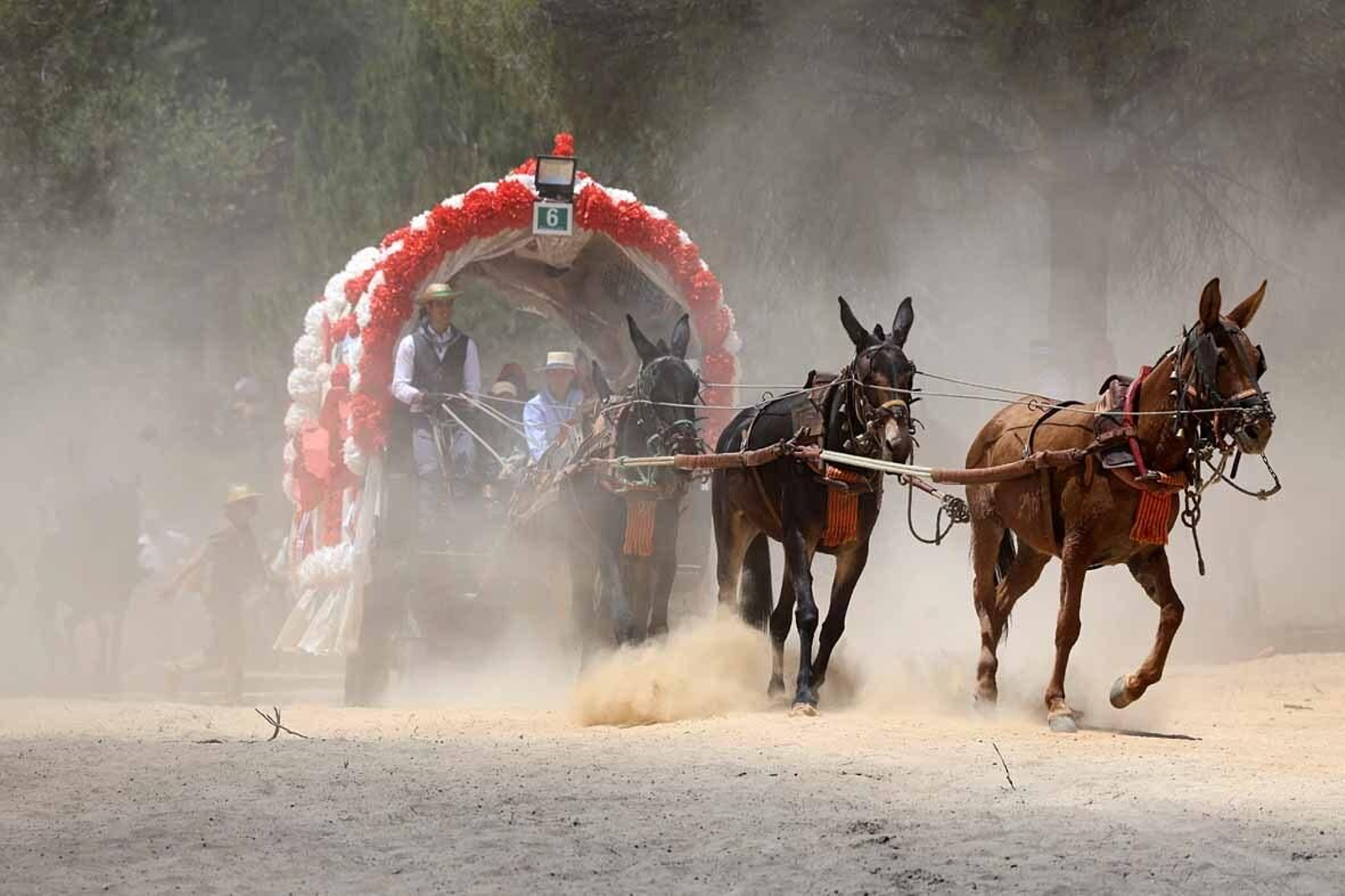 Las mejores imágenes de la Hermandad del Rocío de Huelva en el camino hacia El Rocío