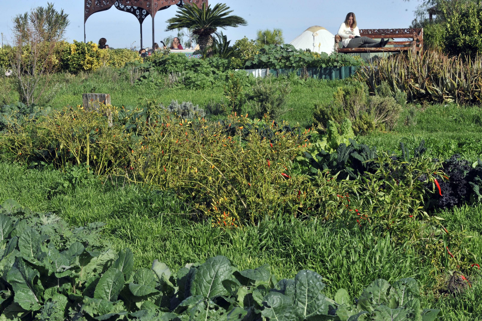 Suryalila: uno de los centros de yoga referente en España.