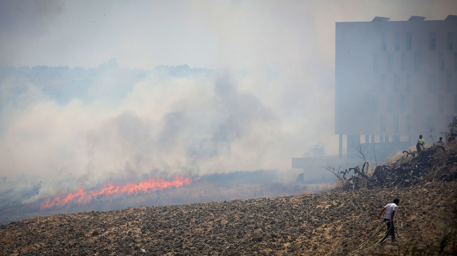 El fuego llega a las  casapuertas en Jerez