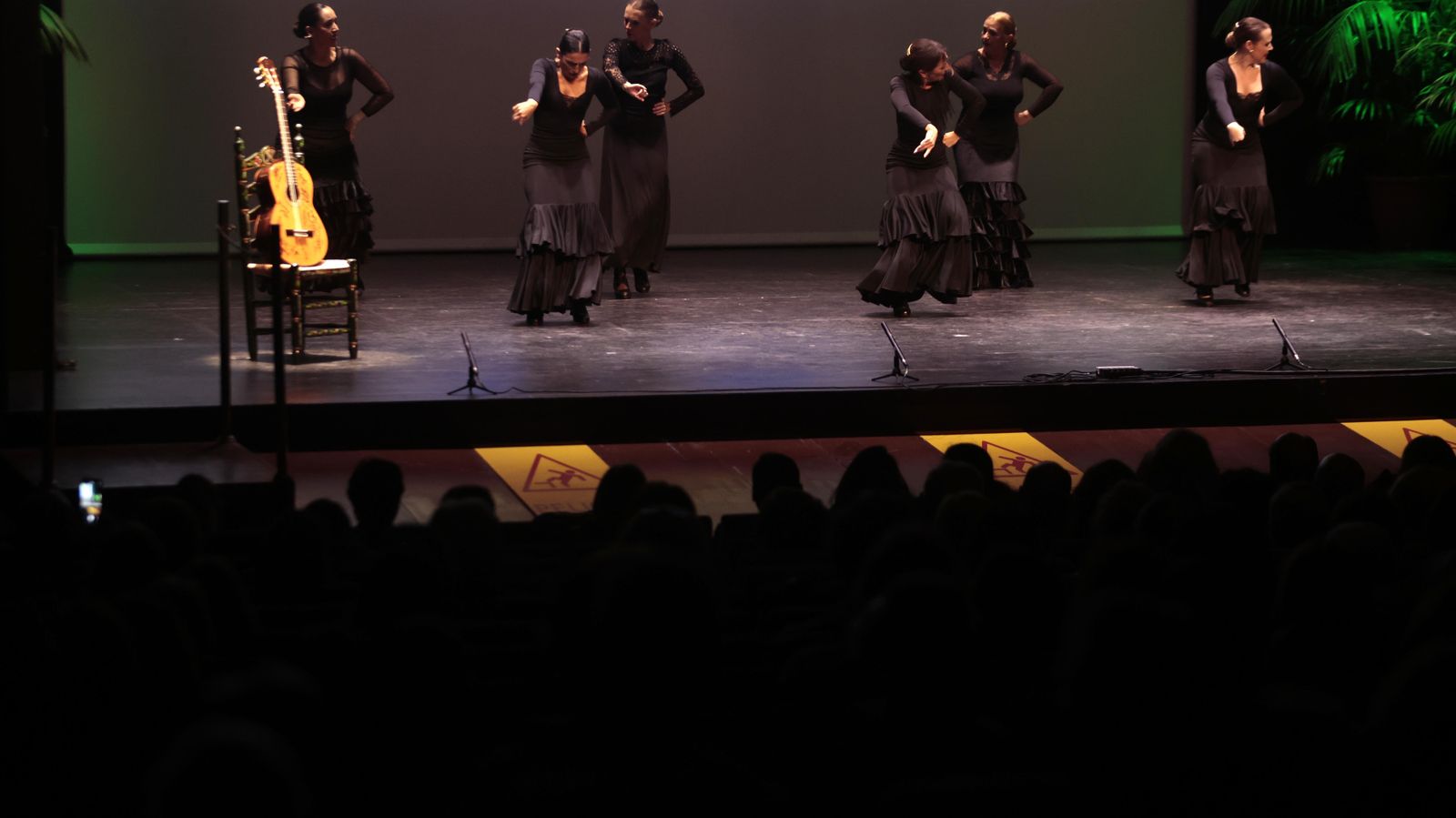 Las fotos del acto homenaje a Paco de Lucía  "Guitarras al cielo"